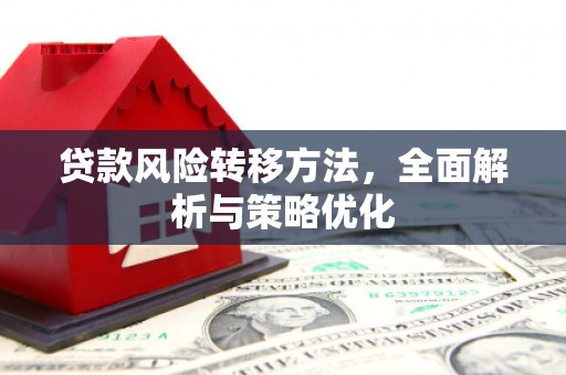 阜南贷款风险转移方法，全面解析与策略优化
