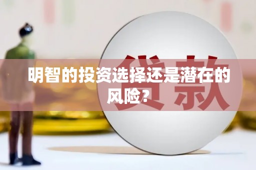 阜南明智的投资选择还是潜在的风险？