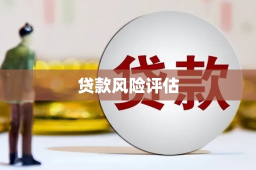 阜南贷款风险评估