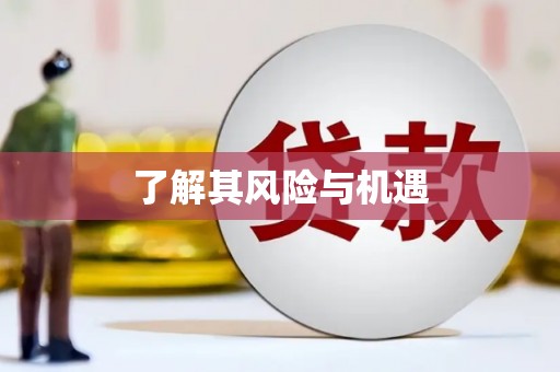 阜南了解其风险与机遇