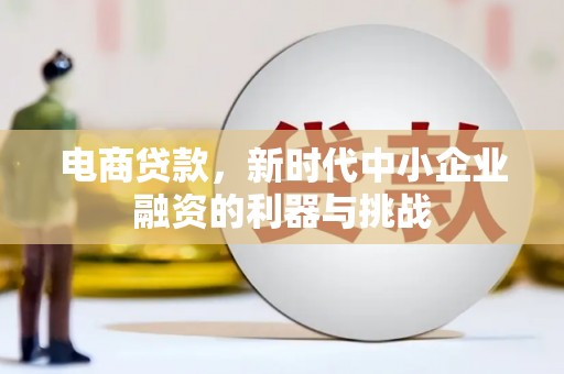 阜南电商贷款，新时代中小企业融资的利器与挑战