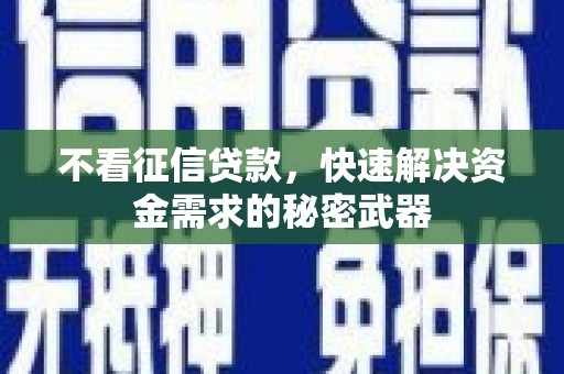 阜南不看征信贷款，快速解决资金需求的秘密武器