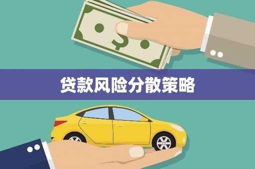 阜南贷款风险分散策略