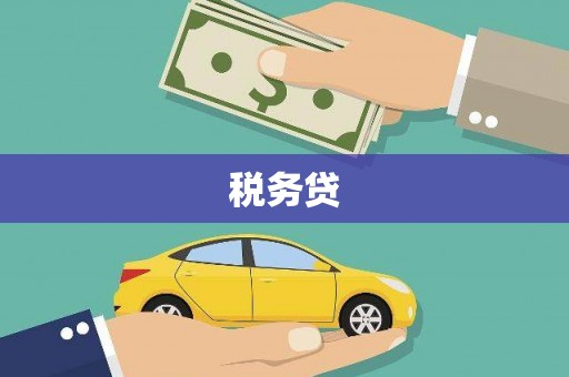 阜南税务贷