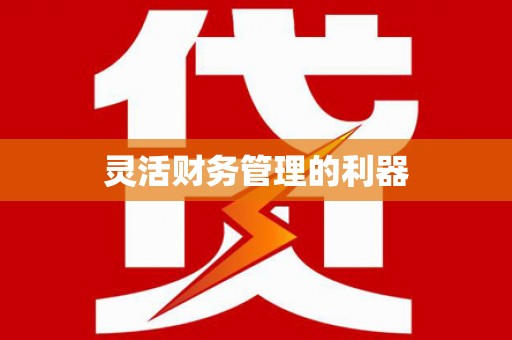阜南灵活财务管理的利器