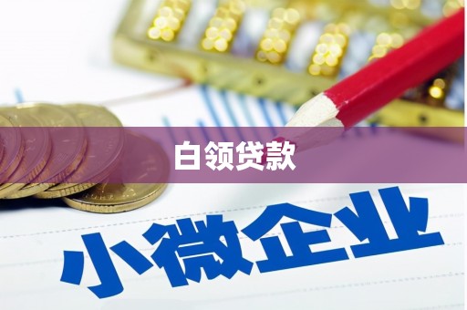 阜南白领贷款