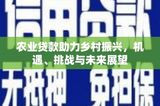 阜南农业贷款助力乡村振兴，机遇、挑战与未来展望