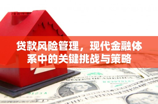 阜南贷款风险管理，现代金融体系中的关键挑战与策略