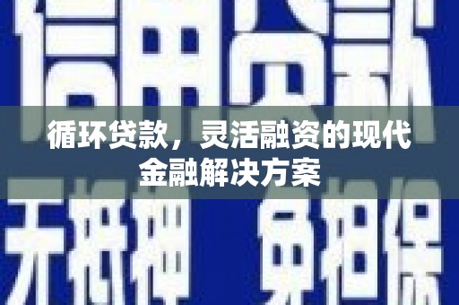 阜南循环贷款，灵活融资的现代金融解决方案