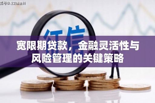 阜南宽限期贷款，金融灵活性与风险管理的关键策略