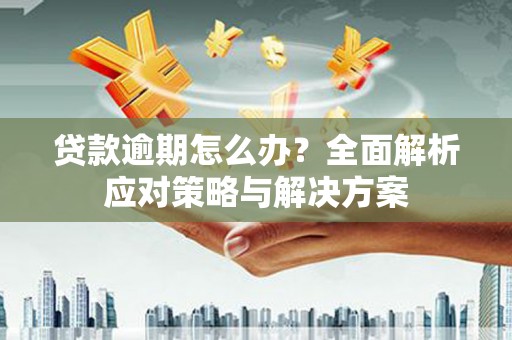 阜南贷款逾期怎么办？全面解析应对策略与解决方案