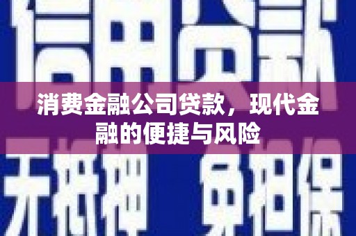 阜南消费金融公司贷款，现代金融的便捷与风险