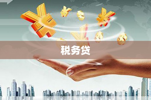 阜南税务贷