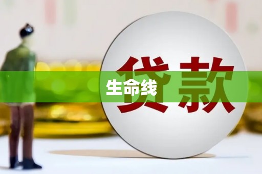 阜南生命线