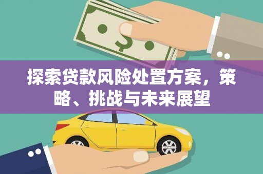 阜南探索贷款风险处置方案，策略、挑战与未来展望