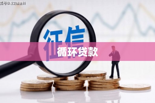 阜南循环贷款
