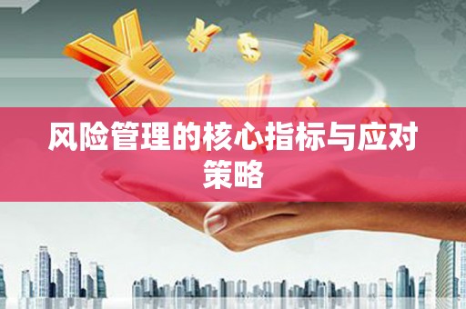 阜南风险管理的核心指标与应对策略