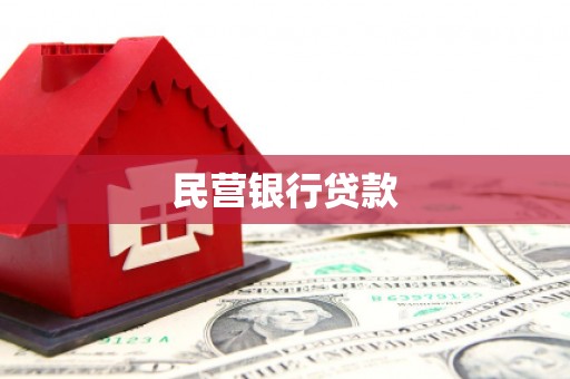 阜南民营银行贷款