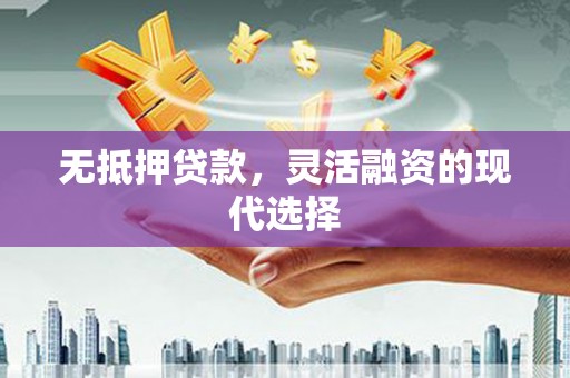 阜南无抵押贷款，灵活融资的现代选择