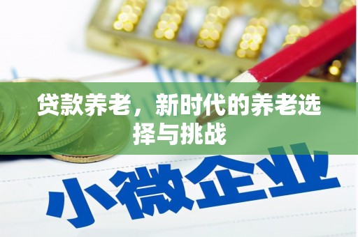 阜南贷款养老，新时代的养老选择与挑战