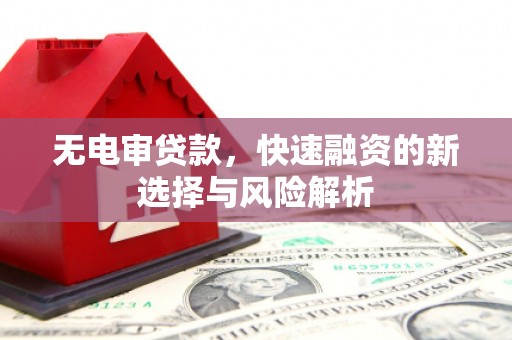 阜南无电审贷款，快速融资的新选择与风险解析