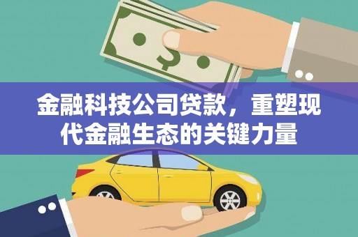 阜南金融科技公司贷款，重塑现代金融生态的关键力量