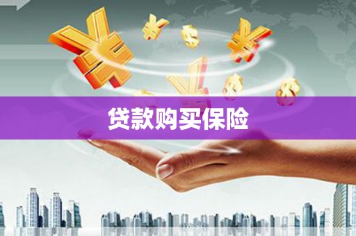 阜南贷款购买保险