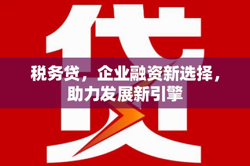 阜南税务贷，企业融资新选择，助力发展新引擎