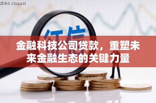 阜南金融科技公司贷款，重塑未来金融生态的关键力量