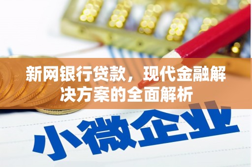 阜南新网银行贷款，现代金融解决方案的全面解析