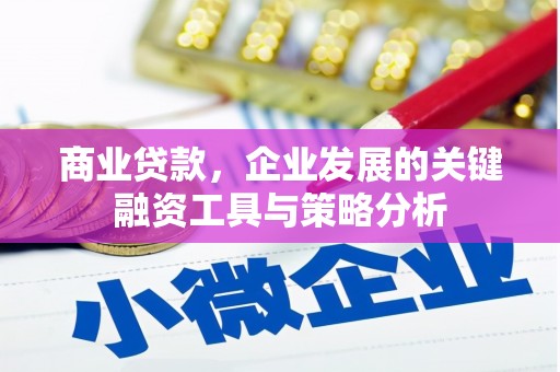 阜南商业贷款，企业发展的关键融资工具与策略分析