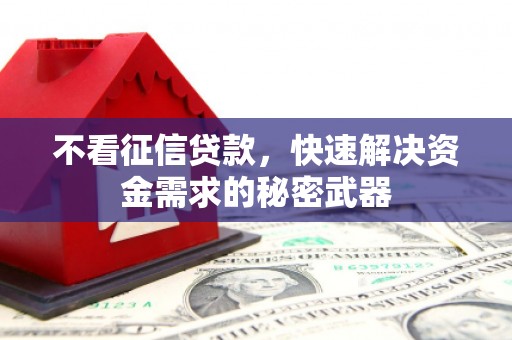阜南不看征信贷款，快速解决资金需求的秘密武器