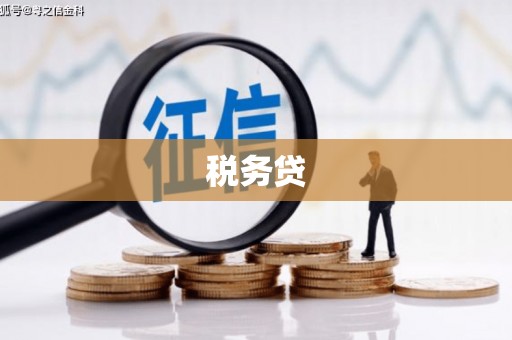 阜南税务贷