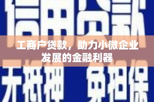 阜南工商户贷款，助力小微企业发展的金融利器