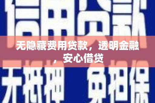 阜南无隐藏费用贷款，透明金融，安心借贷