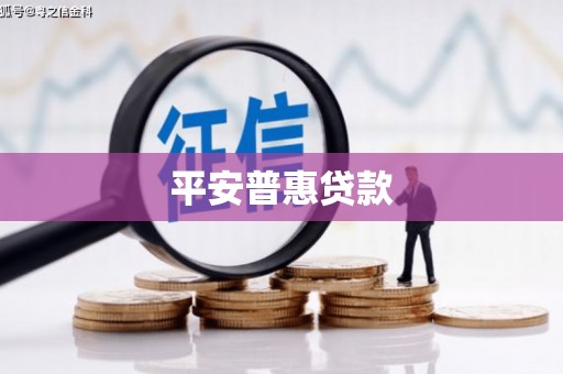 阜南平安普惠贷款