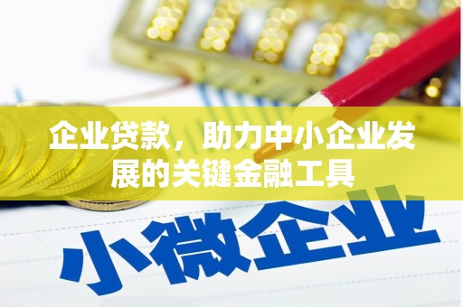 阜南企业贷款，助力中小企业发展的关键金融工具