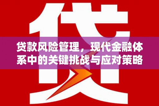 阜南贷款风险管理，现代金融体系中的关键挑战与应对策略