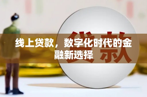 阜南线上贷款，数字化时代的金融新选择
