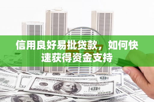 阜南信用良好易批贷款，如何快速获得资金支持