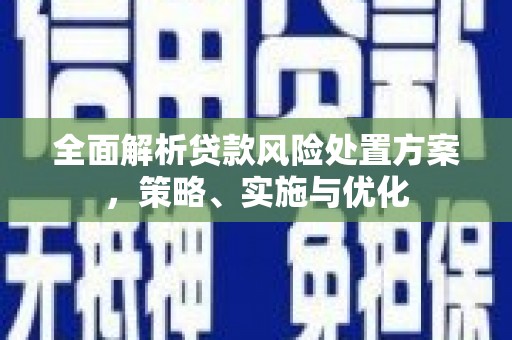 阜南全面解析贷款风险处置方案，策略、实施与优化