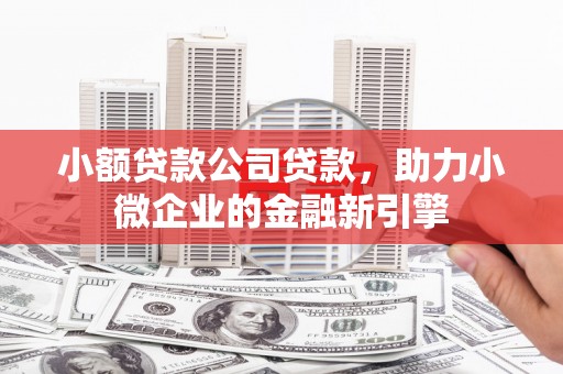 阜南小额贷款公司贷款，助力小微企业的金融新引擎