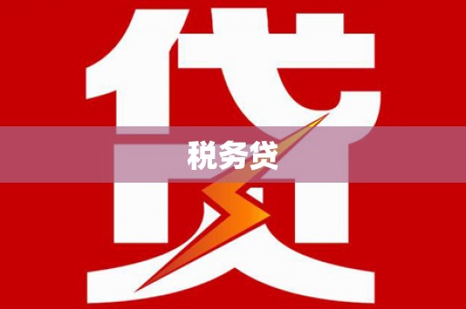 阜南税务贷
