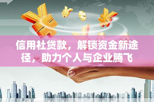 阜南信用社贷款，解锁资金新途径，助力个人与企业腾飞