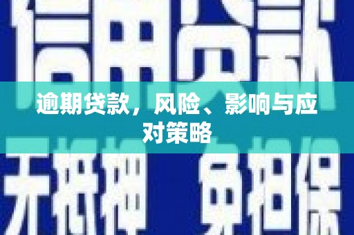 阜南逾期贷款，风险、影响与应对策略