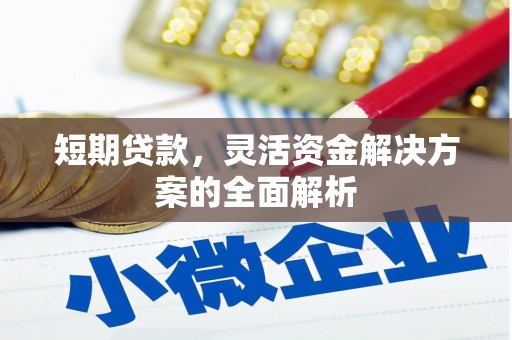 阜南短期贷款，灵活资金解决方案的全面解析