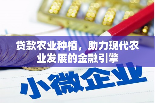 阜南贷款农业种植，助力现代农业发展的金融引擎