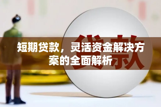 阜南短期贷款，灵活资金解决方案的全面解析