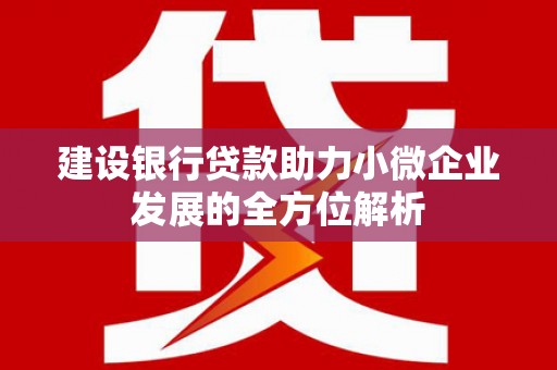 阜南建设银行贷款助力小微企业发展的全方位解析