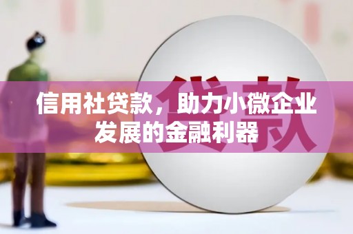 阜南信用社贷款，助力小微企业发展的金融利器
